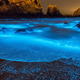 A beach featuring the gorgeous blue glow of red Noctiluca scintillans.